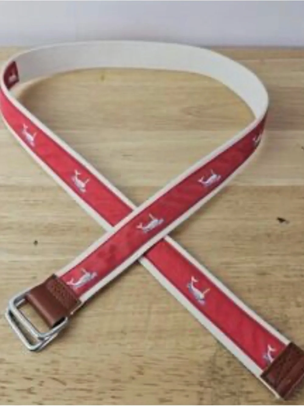 J McLaughlin Canvas D Ring Ribbon Belt with Spouting Whale Embroidered Accent